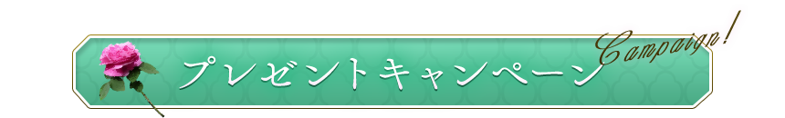 プレゼントキャンペーン