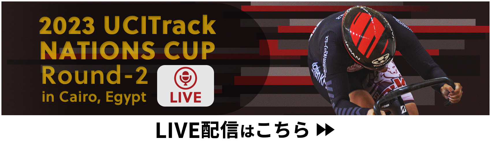 LIVE配信はこちら