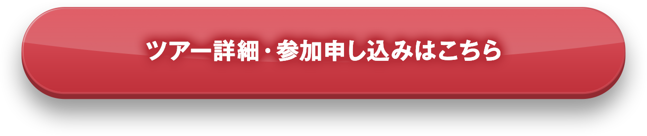 2025 バスツアー
