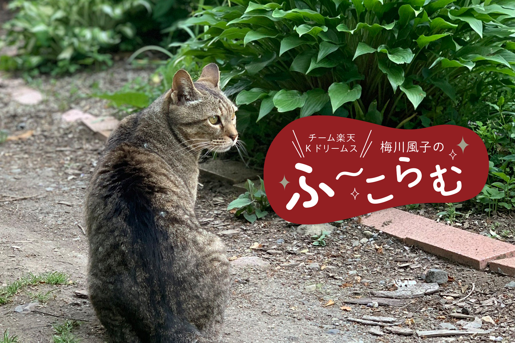 アイキャッチ