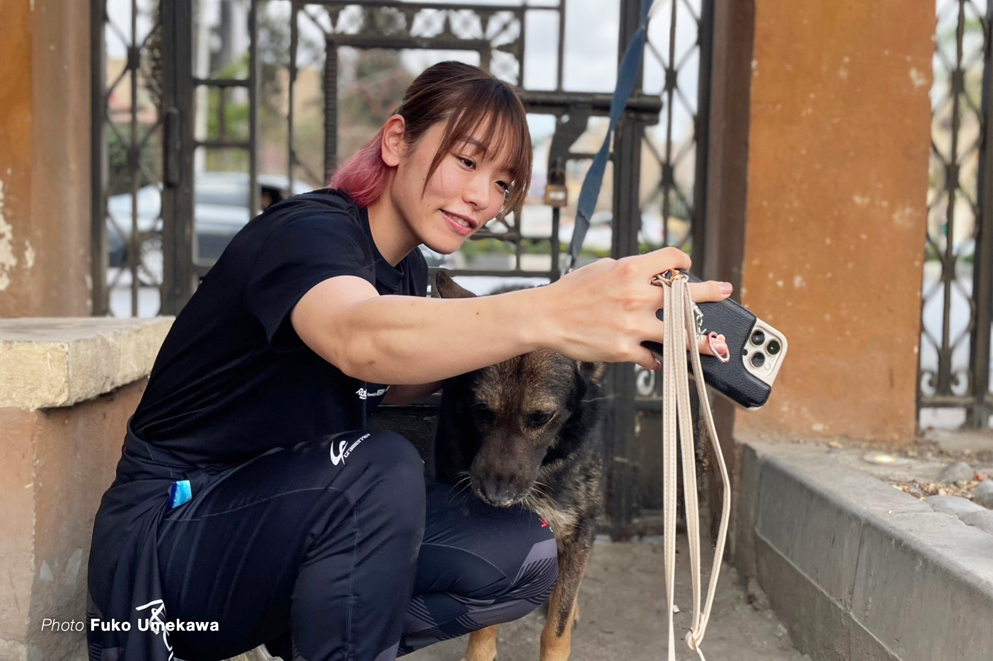 犬とサトミナ