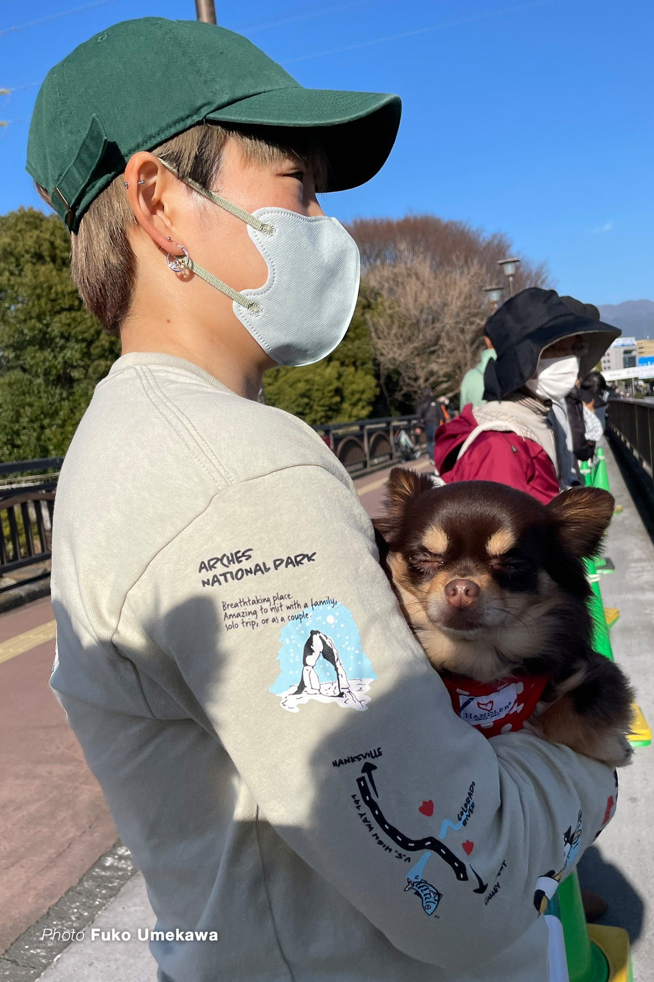 犬は寝てる