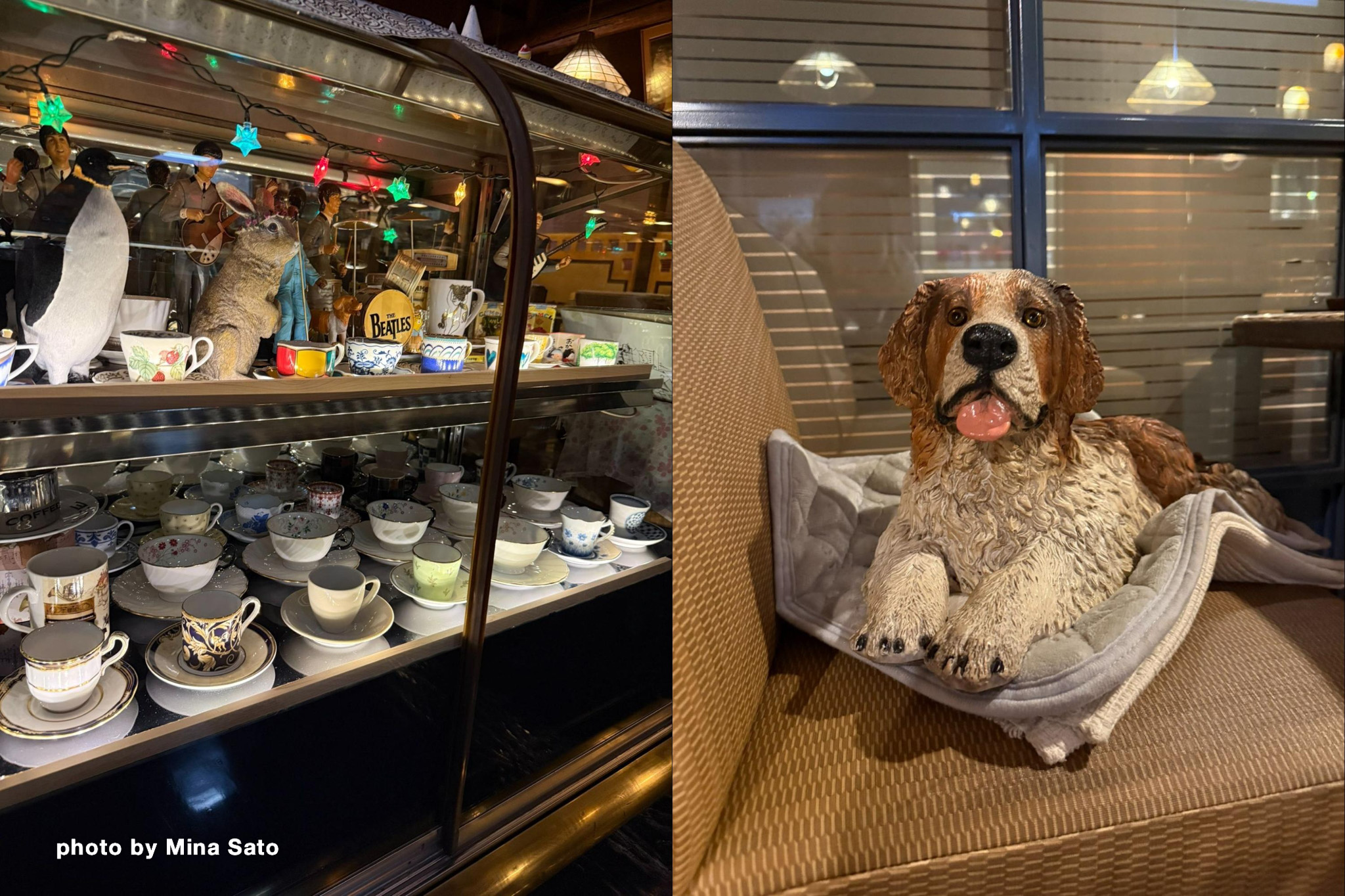 カフェのショーケースと犬の置物